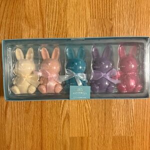 Queenwest Trading Co. Set Of 5 Bunnies With Soft/Fuzzy Overlay